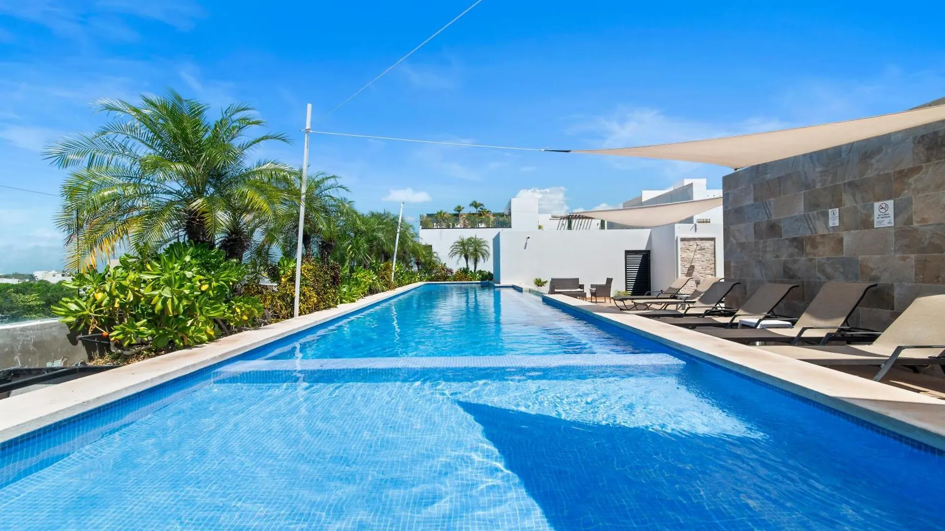 דירה פלאייה דל כרמן Cozy & New 2Br Rooftop, Central, 10Min To Beach